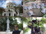 Seychelles, Mahé, Victoria round trip