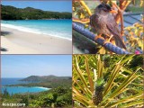 Seychelles, Praslin, Anse Lazio
