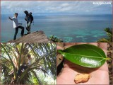 Seychelles, Praslin, nature trail